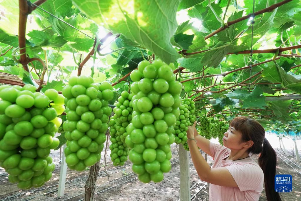 pc赌博玩法